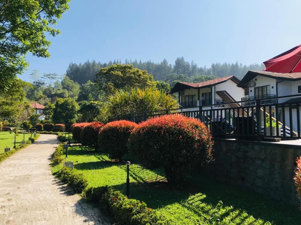 Okwin Resort Kandy Extérieur photo