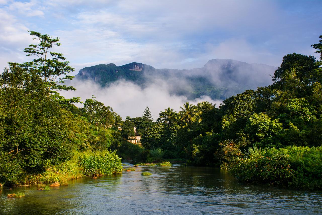 Okwin Resort Kandy Extérieur photo