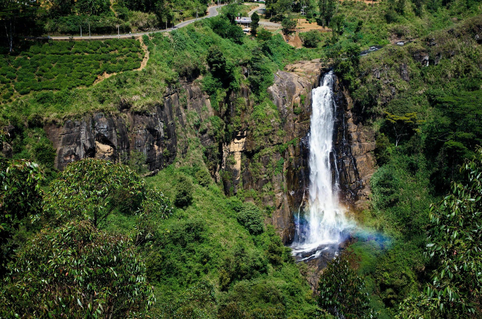 Okwin Resort Kandy Extérieur photo