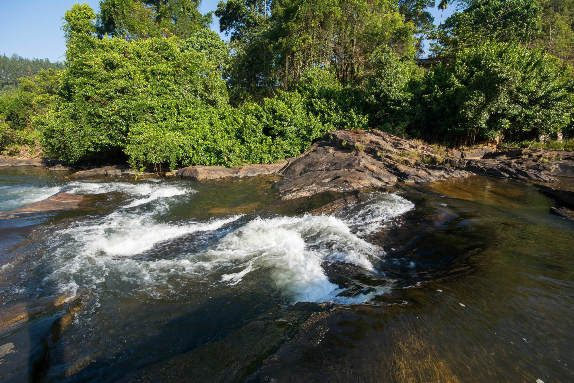 Okwin Resort Kandy Extérieur photo